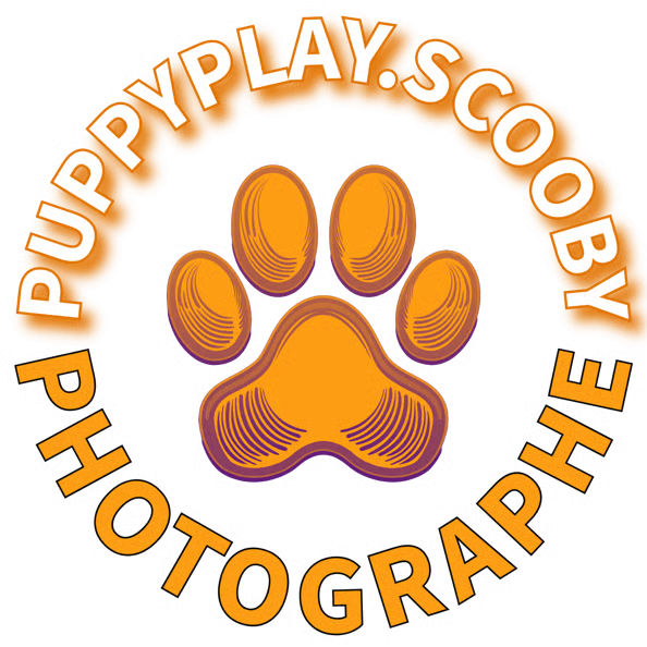 Puppyplay scooby